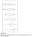 Thumbnail for version as of 16:55, 27 June 2024