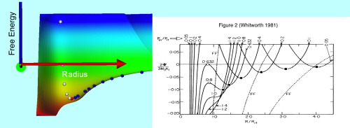 Whitworth's (1981) Isothermal Free-Energy Surface